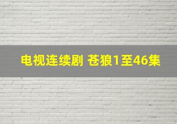 电视连续剧 苍狼1至46集